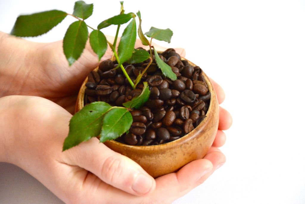 hands held out - one is giving away coffee beans in a bowl with a plant