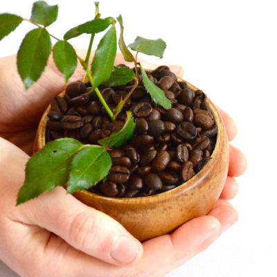hands held out - one is giving away coffee beans in a bowl with a plant