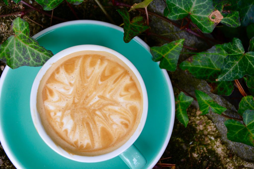 latte in a garden