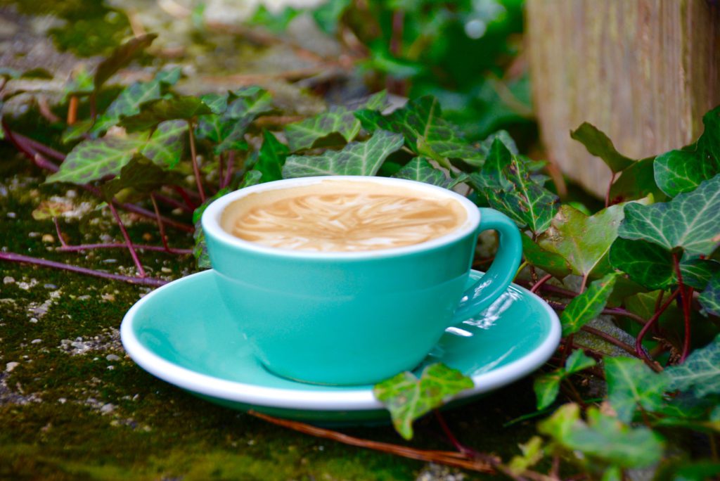 latte in a garden outside