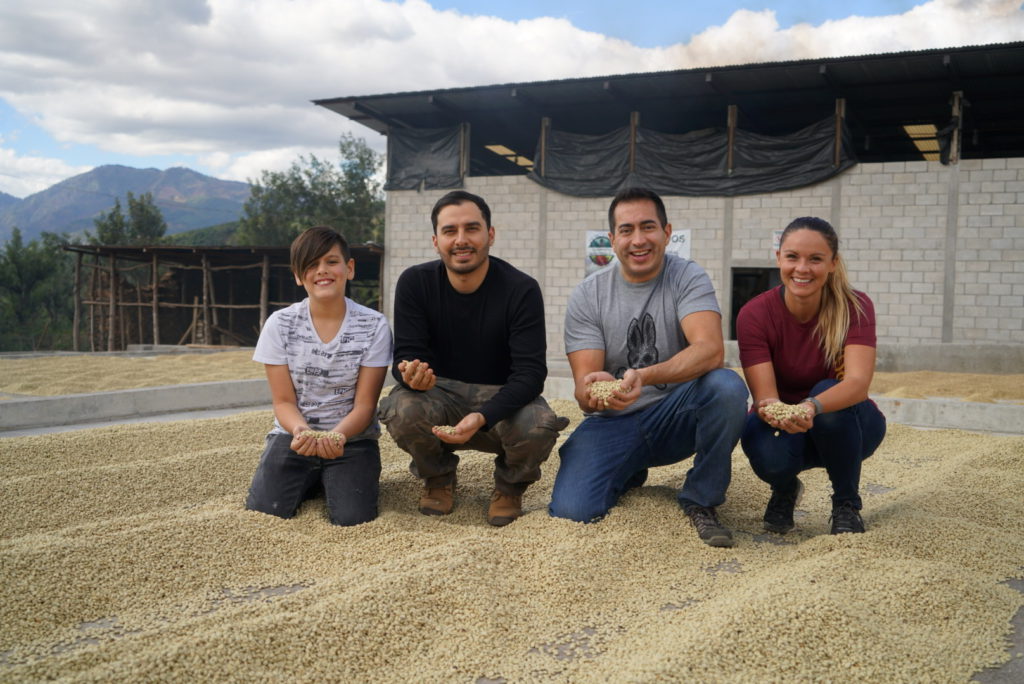 Sustainable Coffee Supplies – The Sustainable Coffee Company