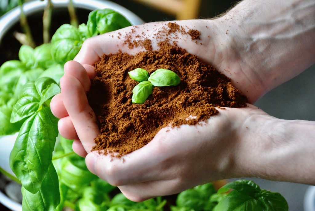 man holding coffee grounds over a garden