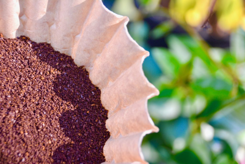 brown coffee filter with dry coffee grounds inside over a garden