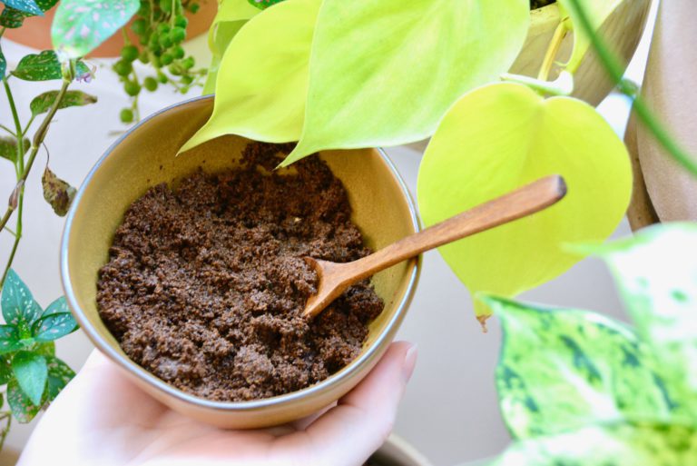 Exploring 4 Plants That Love Coffee Grounds & 3 Plants That Don’t