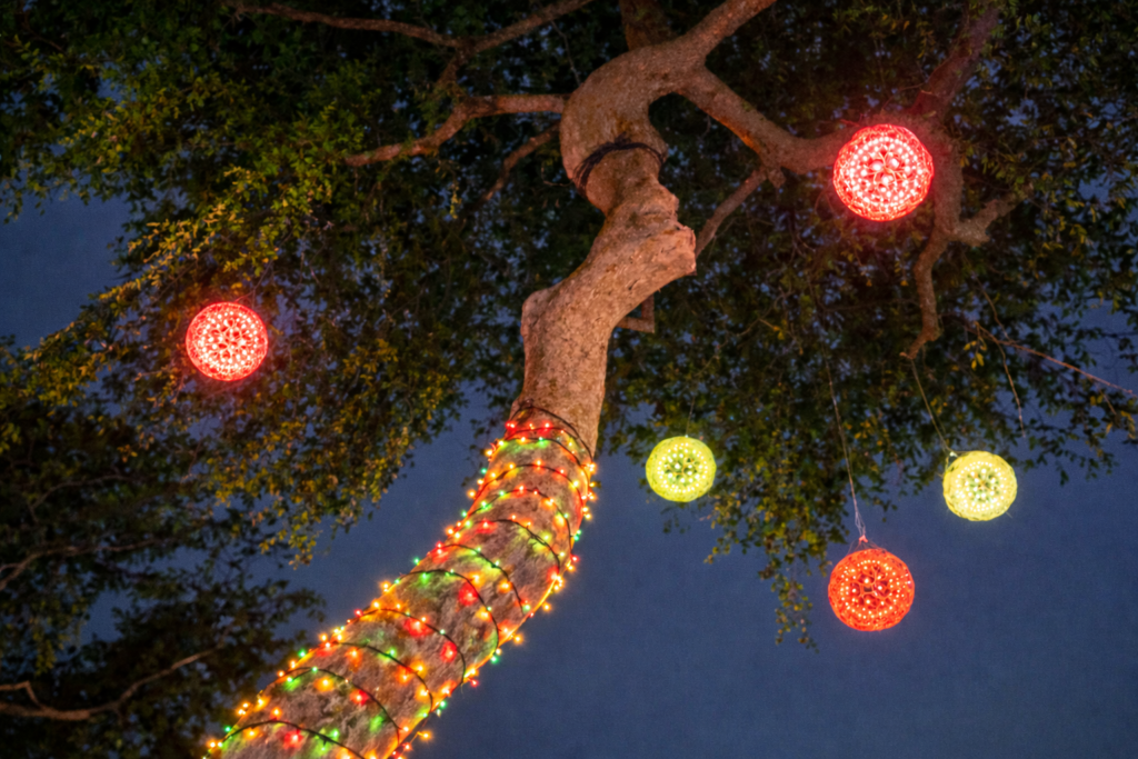 Colorful handmade sparkle balls glowing from tree branches against the night sky.